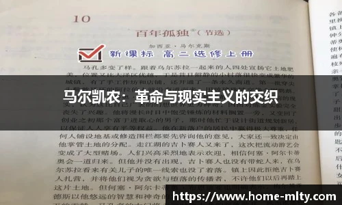 马尔凯农：革命与现实主义的交织